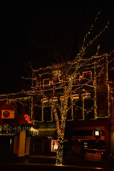 DSC_5864 (Large).JPG